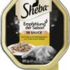 Sheba Empfehlung der Saison in Sauce mit Forelle und Gartenkräutern