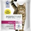 Perfect Fit Adult 1+ mit Lachs