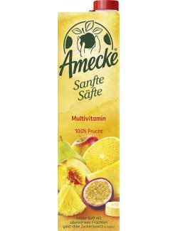 Amecke Sanfte Säfte Multi Vitamin