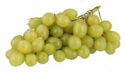 Trauben Hell Kernlos Thompson Seedless